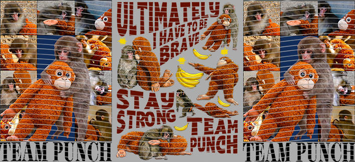 16oz Animal-AA-1414